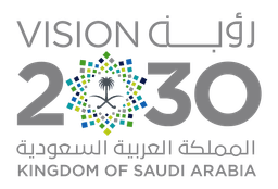 Vision 2030